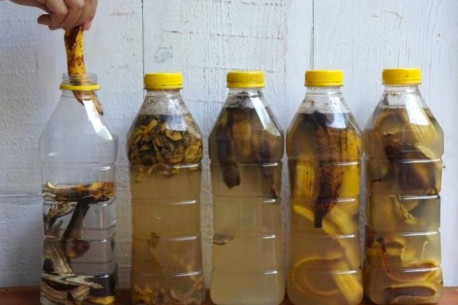 Mergulhe cascas de banana em 1 garrafa de água – o que acontece momentos depois