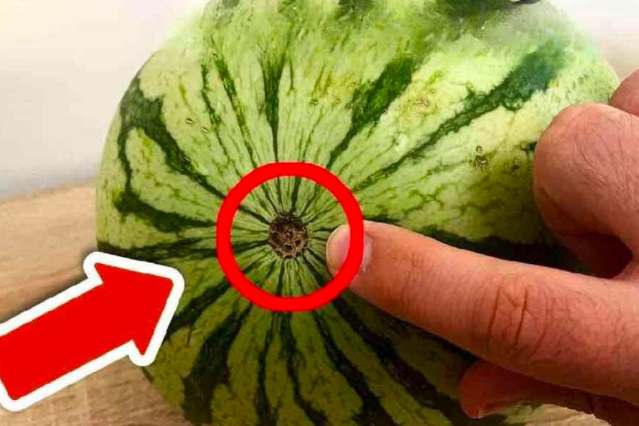 Preste atenção nesse detalhe da melancia, pois ela ainda não está madura (1)